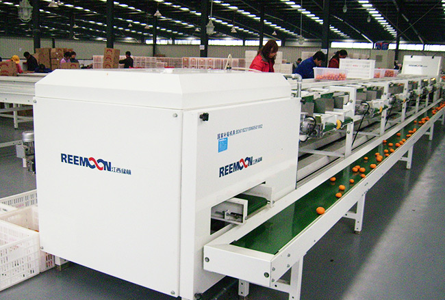 Post-harvest commercial processing line